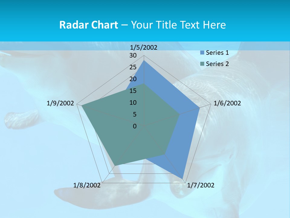 Underwater Beautiful Marine Life PowerPoint Template