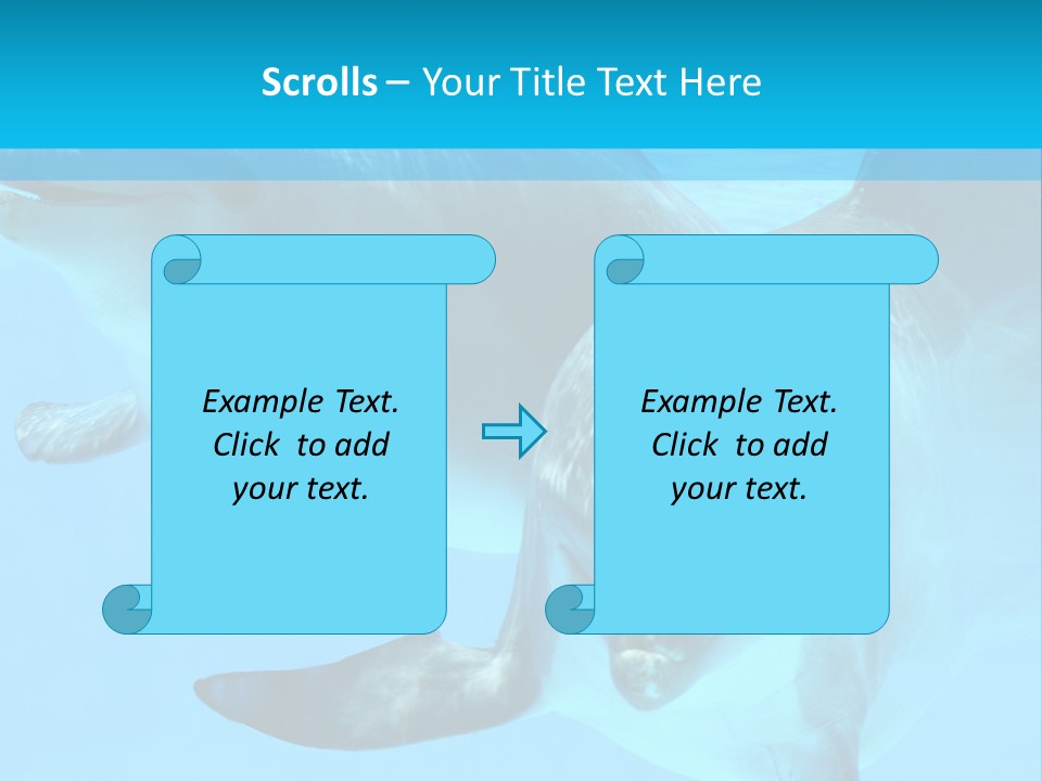 Underwater Beautiful Marine Life PowerPoint Template