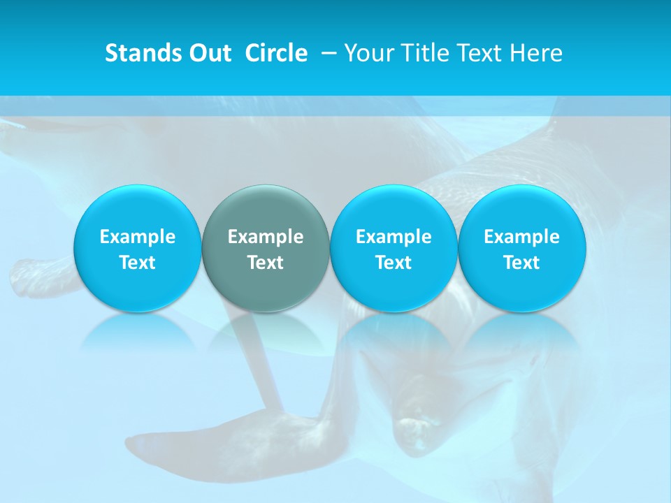 Underwater Beautiful Marine Life PowerPoint Template