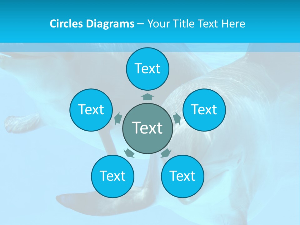 Underwater Beautiful Marine Life PowerPoint Template