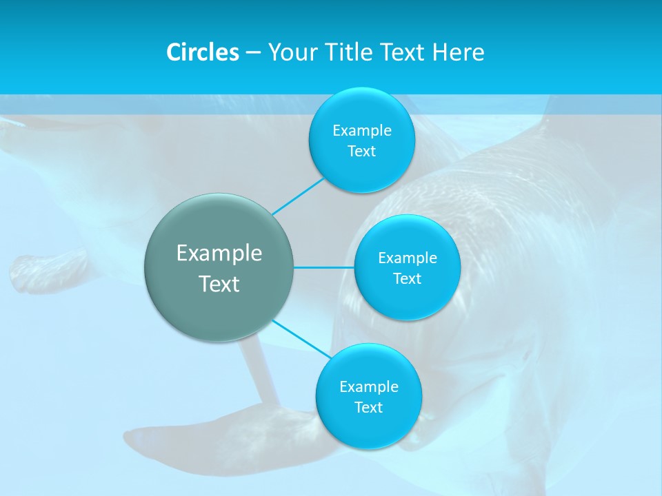 Underwater Beautiful Marine Life PowerPoint Template