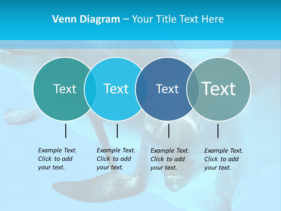 Underwater Beautiful Marine Life PowerPoint Template