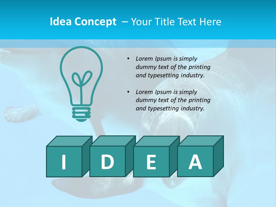 Underwater Beautiful Marine Life PowerPoint Template