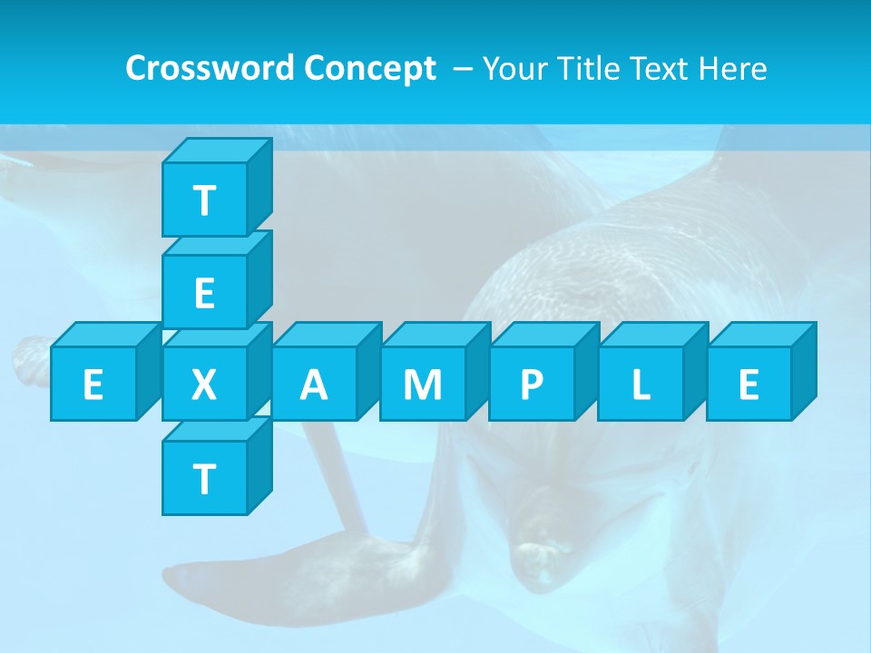 Underwater Beautiful Marine Life PowerPoint Template