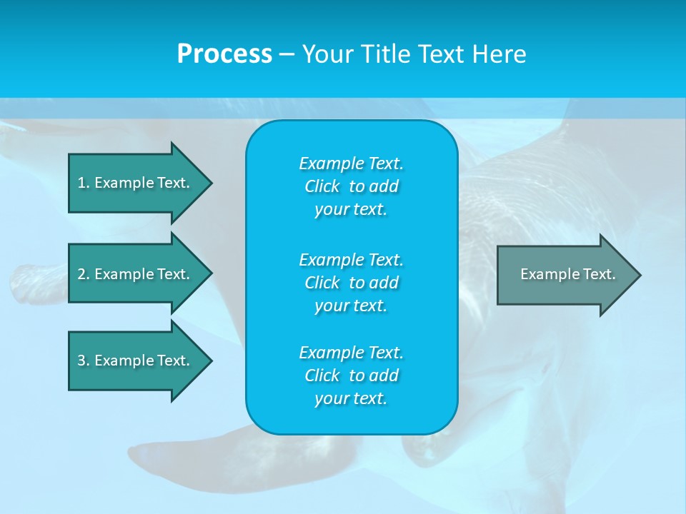 Underwater Beautiful Marine Life PowerPoint Template