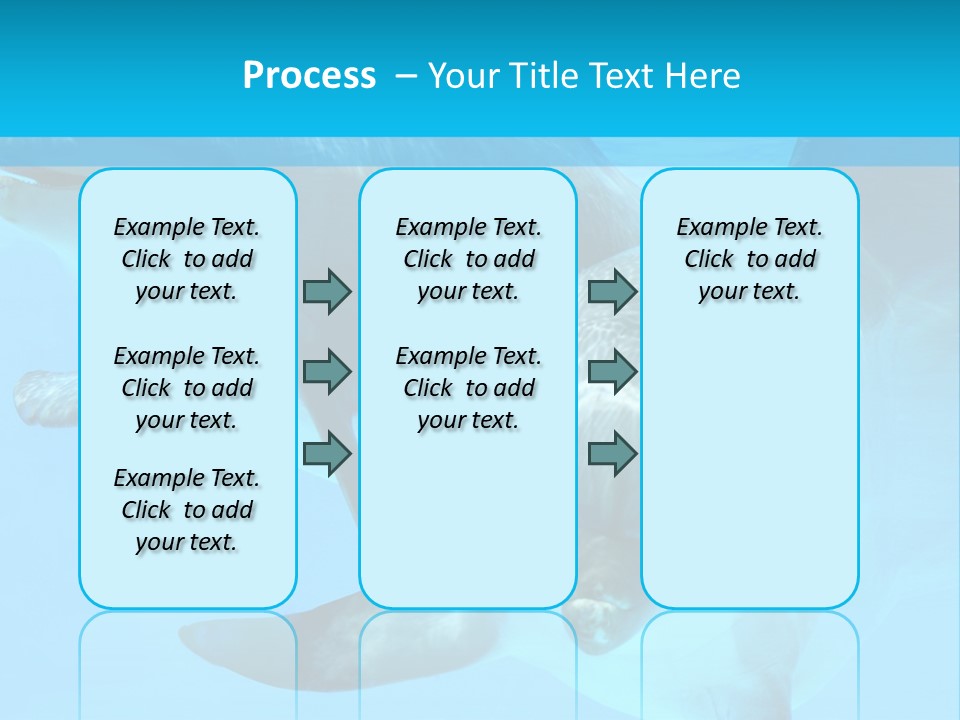 Underwater Beautiful Marine Life PowerPoint Template