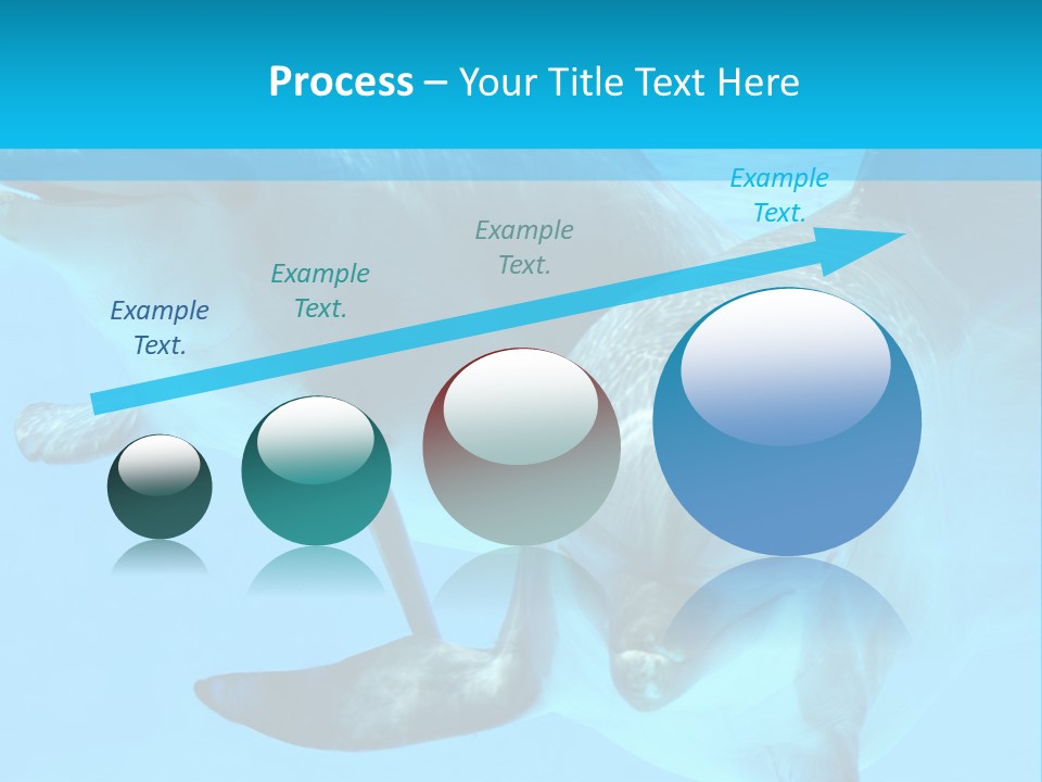 Underwater Beautiful Marine Life PowerPoint Template