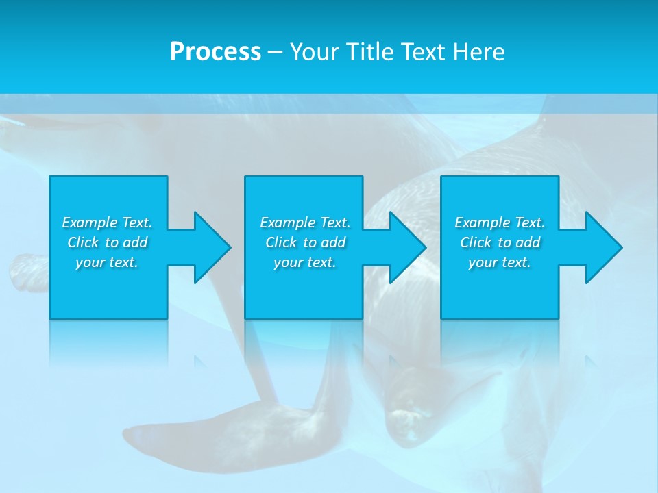 Underwater Beautiful Marine Life PowerPoint Template