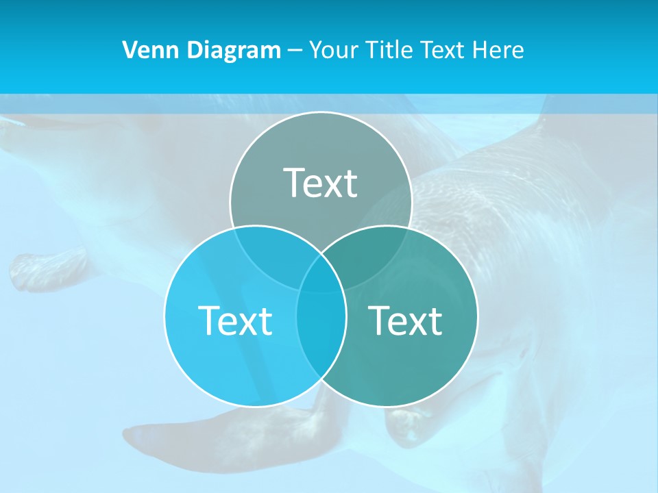 Underwater Beautiful Marine Life PowerPoint Template