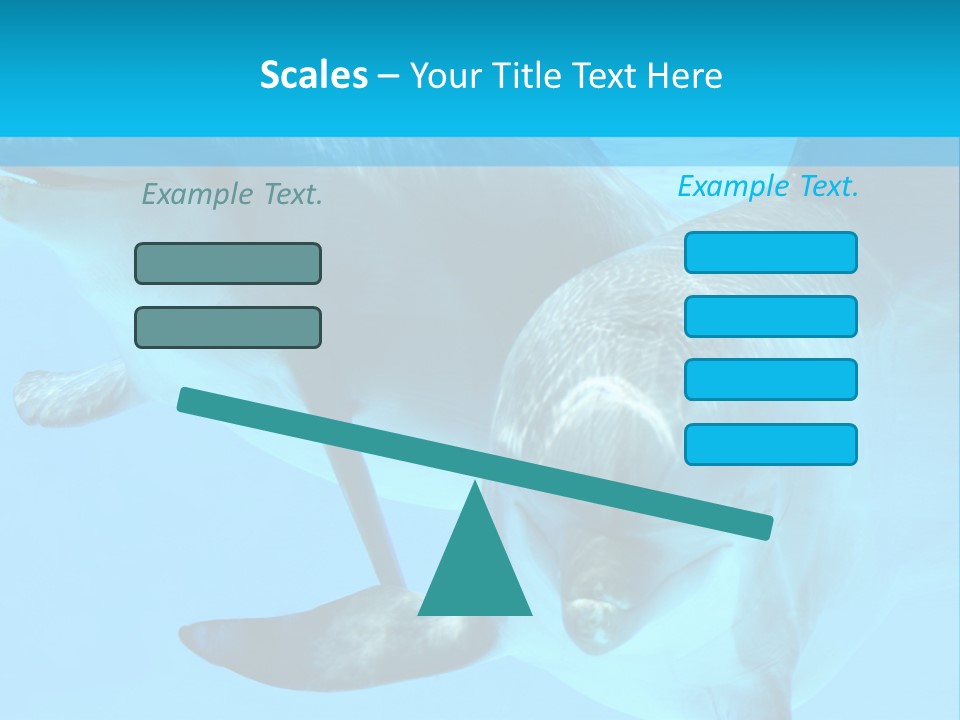 Underwater Beautiful Marine Life PowerPoint Template