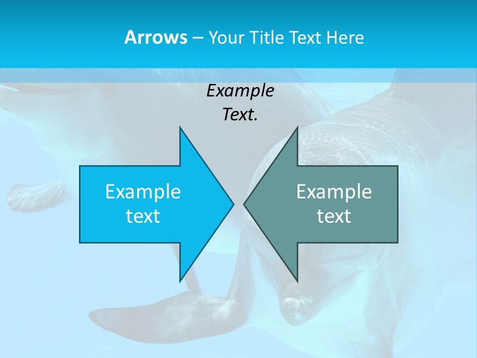 Underwater Beautiful Marine Life PowerPoint Template