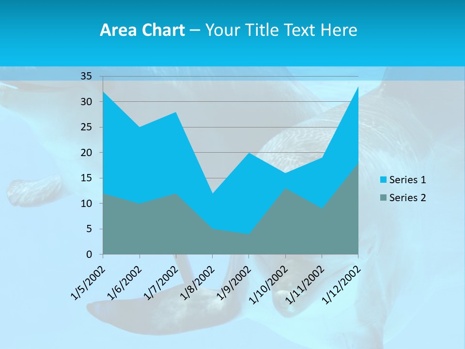 Underwater Beautiful Marine Life PowerPoint Template