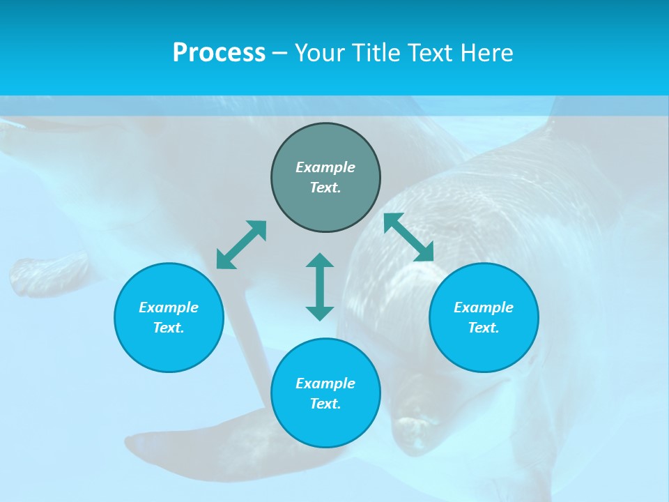 Underwater Beautiful Marine Life PowerPoint Template