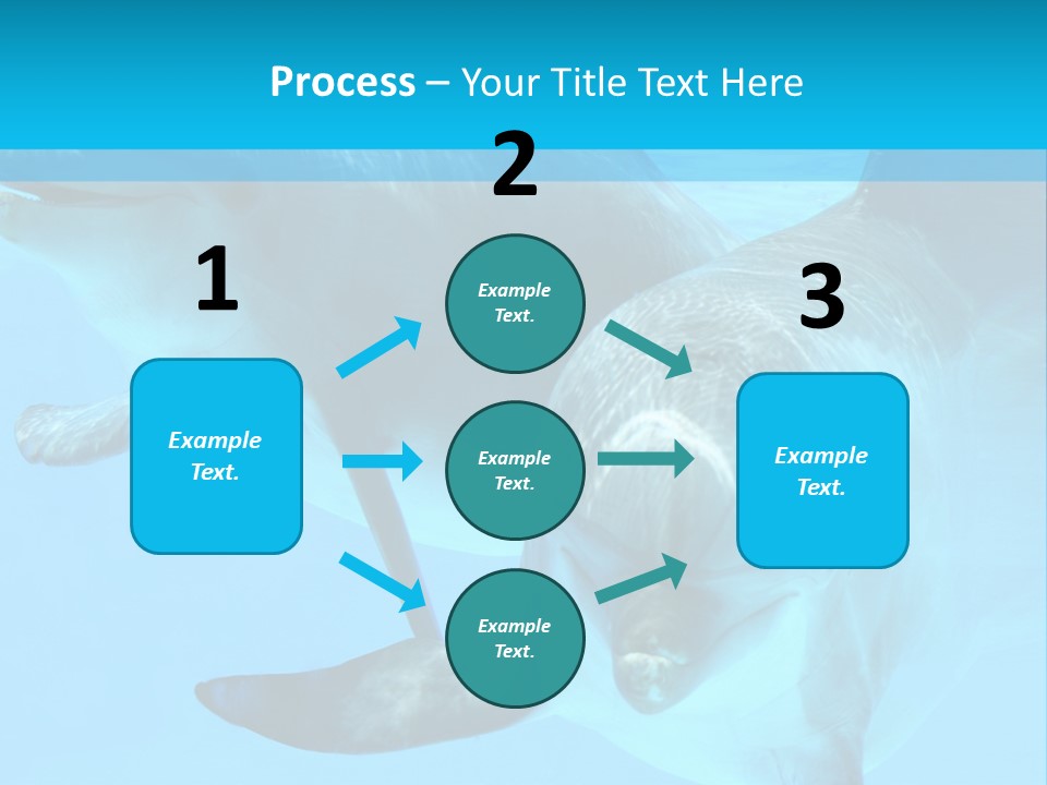 Underwater Beautiful Marine Life PowerPoint Template