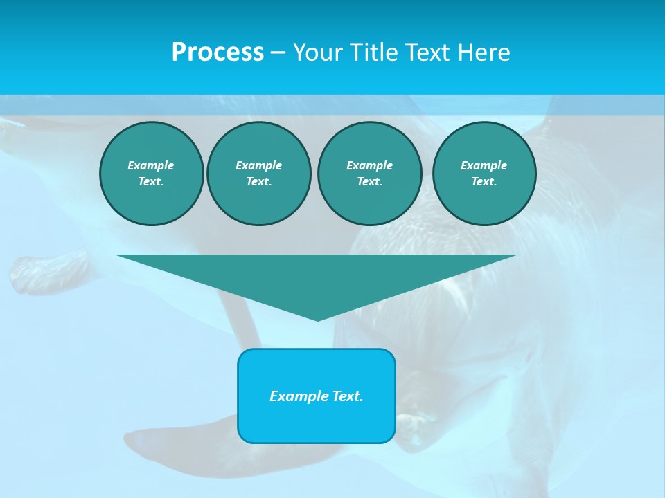 Underwater Beautiful Marine Life PowerPoint Template