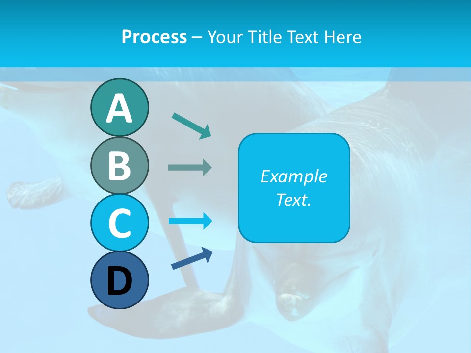 Underwater Beautiful Marine Life PowerPoint Template