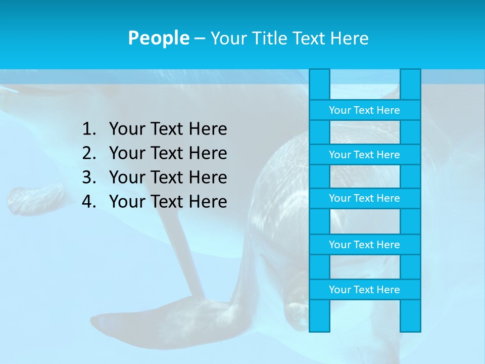 Underwater Beautiful Marine Life PowerPoint Template