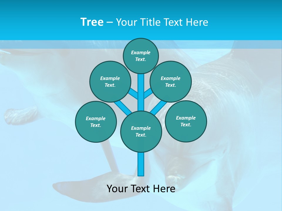 Underwater Beautiful Marine Life PowerPoint Template