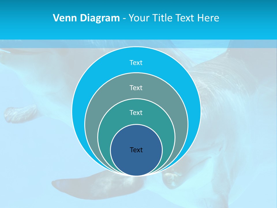 Underwater Beautiful Marine Life PowerPoint Template