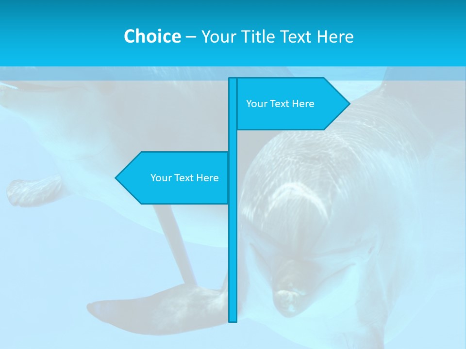 Underwater Beautiful Marine Life PowerPoint Template