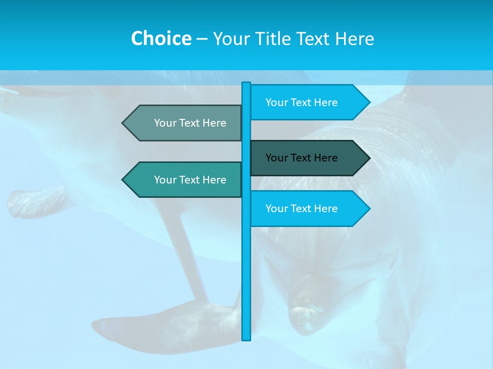 Underwater Beautiful Marine Life PowerPoint Template