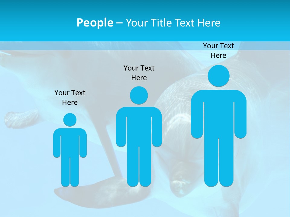 Underwater Beautiful Marine Life PowerPoint Template