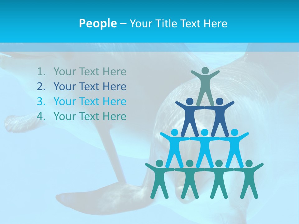 Underwater Beautiful Marine Life PowerPoint Template