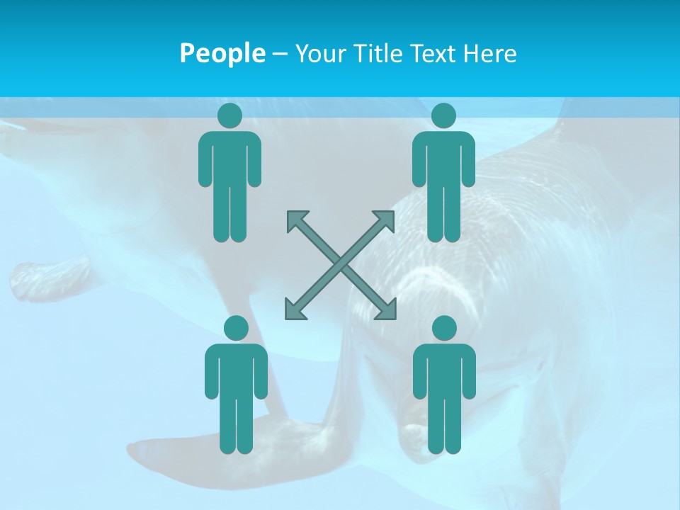 Underwater Beautiful Marine Life PowerPoint Template