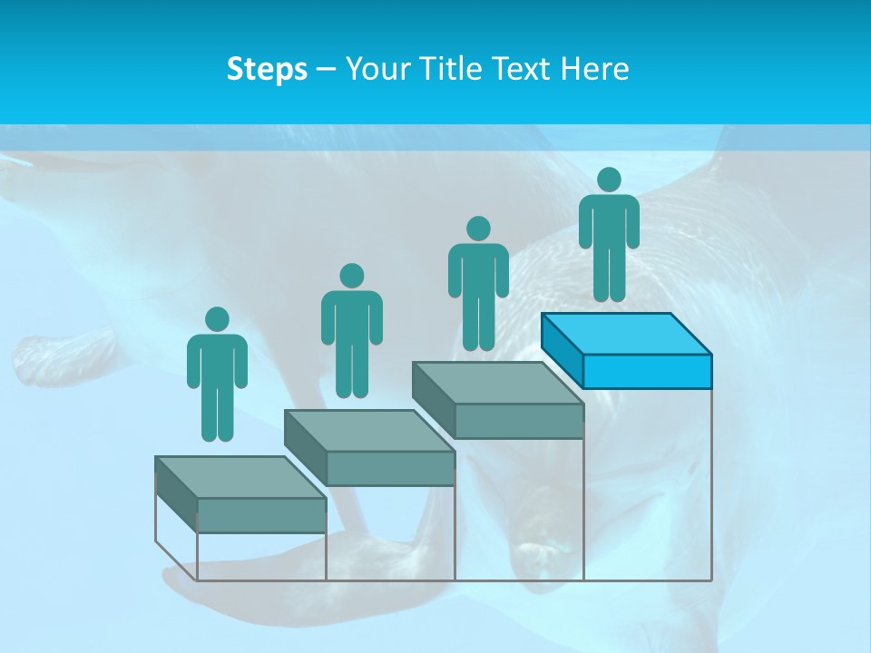 Underwater Beautiful Marine Life PowerPoint Template