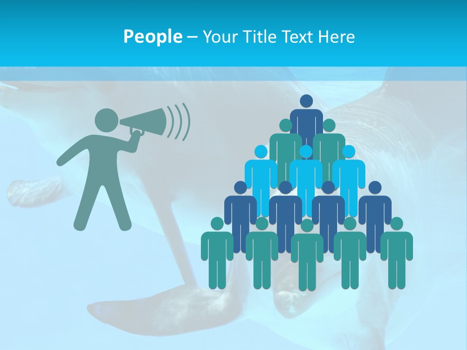 Underwater Beautiful Marine Life PowerPoint Template