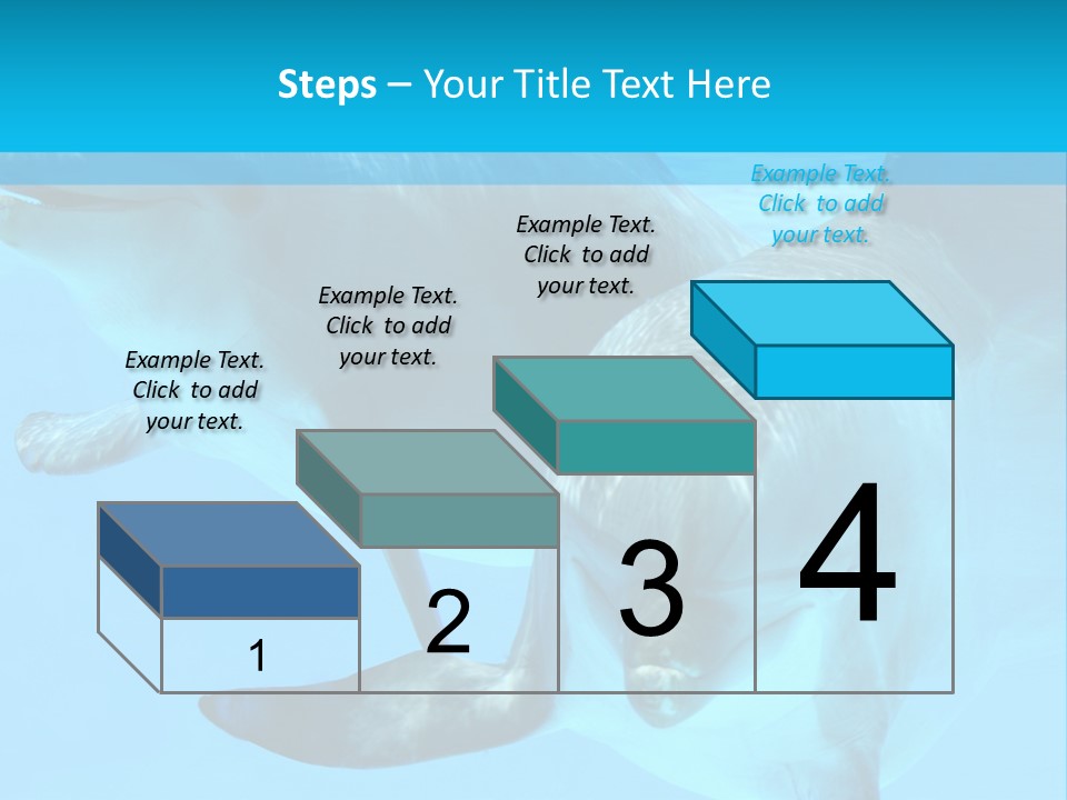 Underwater Beautiful Marine Life PowerPoint Template