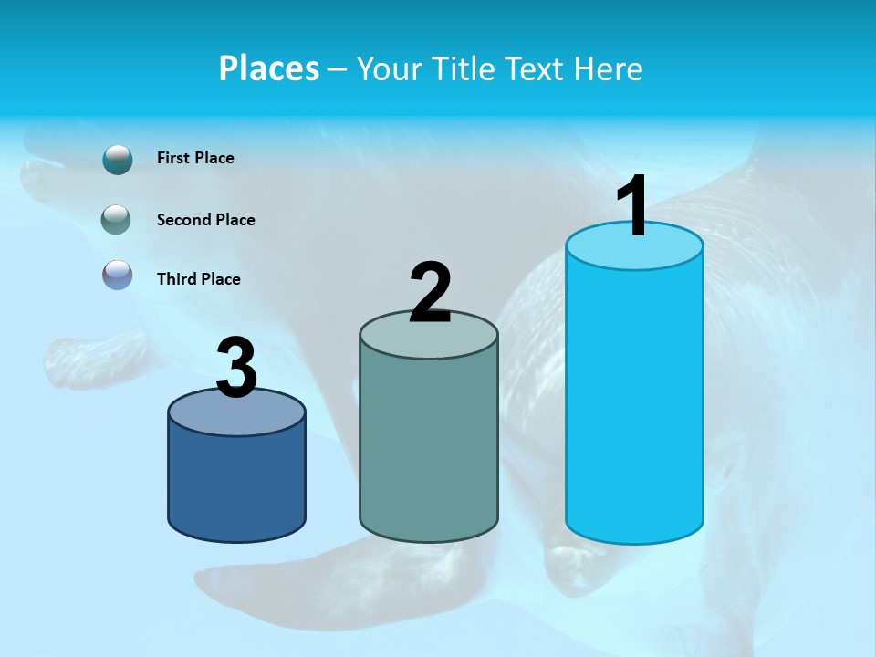 Togetherness Sealife Couple PowerPoint Template