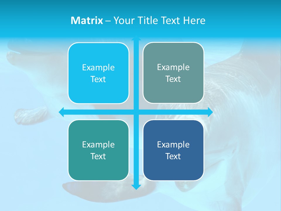 Togetherness Sealife Couple PowerPoint Template