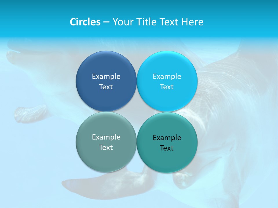 Togetherness Sealife Couple PowerPoint Template