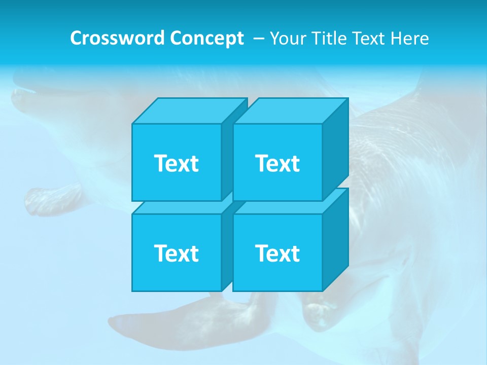 Togetherness Sealife Couple PowerPoint Template