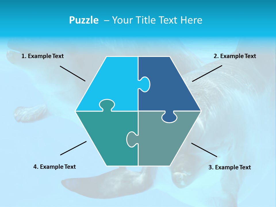 Togetherness Sealife Couple PowerPoint Template