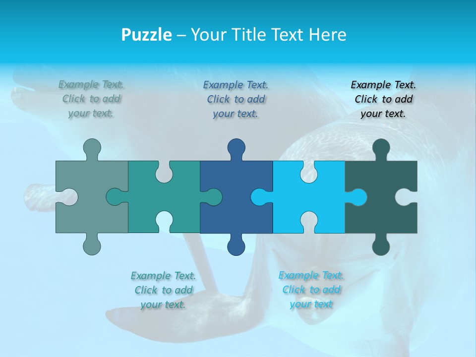 Togetherness Sealife Couple PowerPoint Template