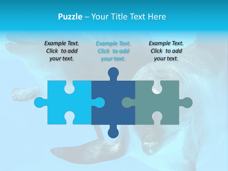 Togetherness Sealife Couple PowerPoint Template