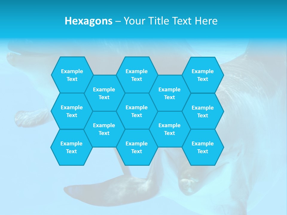 Togetherness Sealife Couple PowerPoint Template