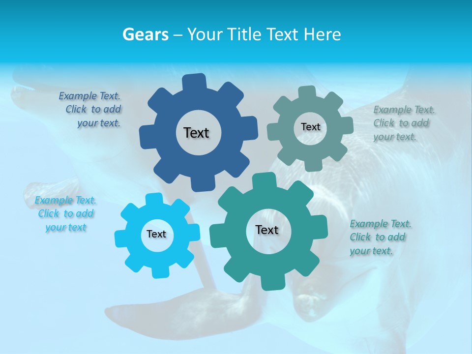 Togetherness Sealife Couple PowerPoint Template