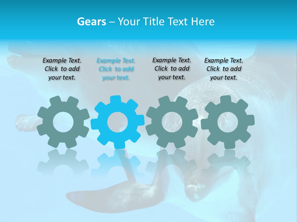 Togetherness Sealife Couple PowerPoint Template