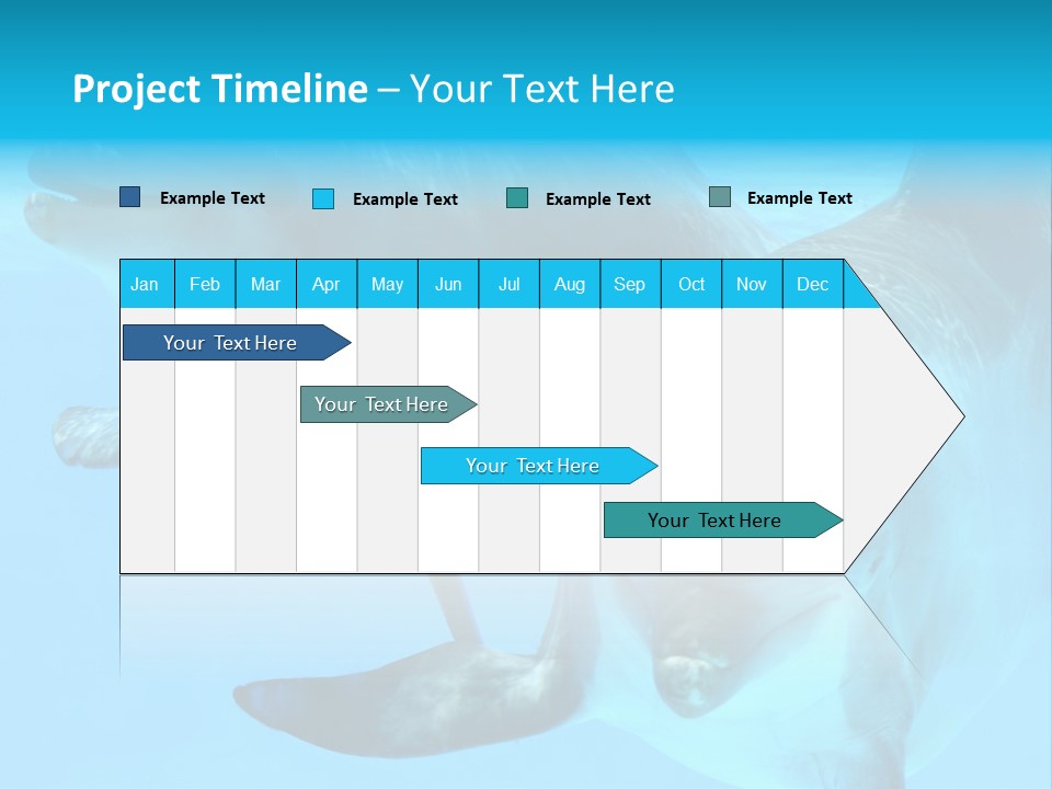 Togetherness Sealife Couple PowerPoint Template
