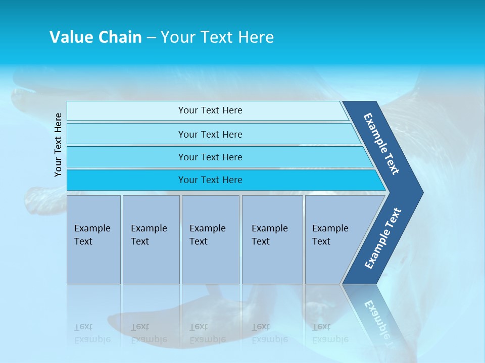 Togetherness Sealife Couple PowerPoint Template