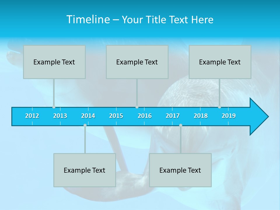 Togetherness Sealife Couple PowerPoint Template