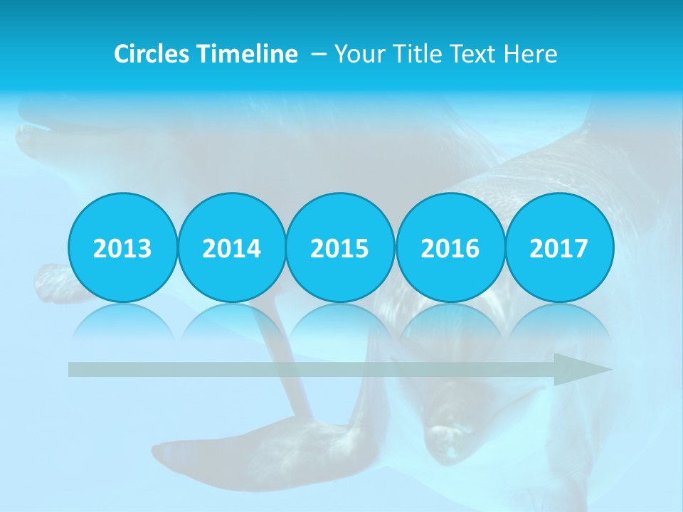 Togetherness Sealife Couple PowerPoint Template