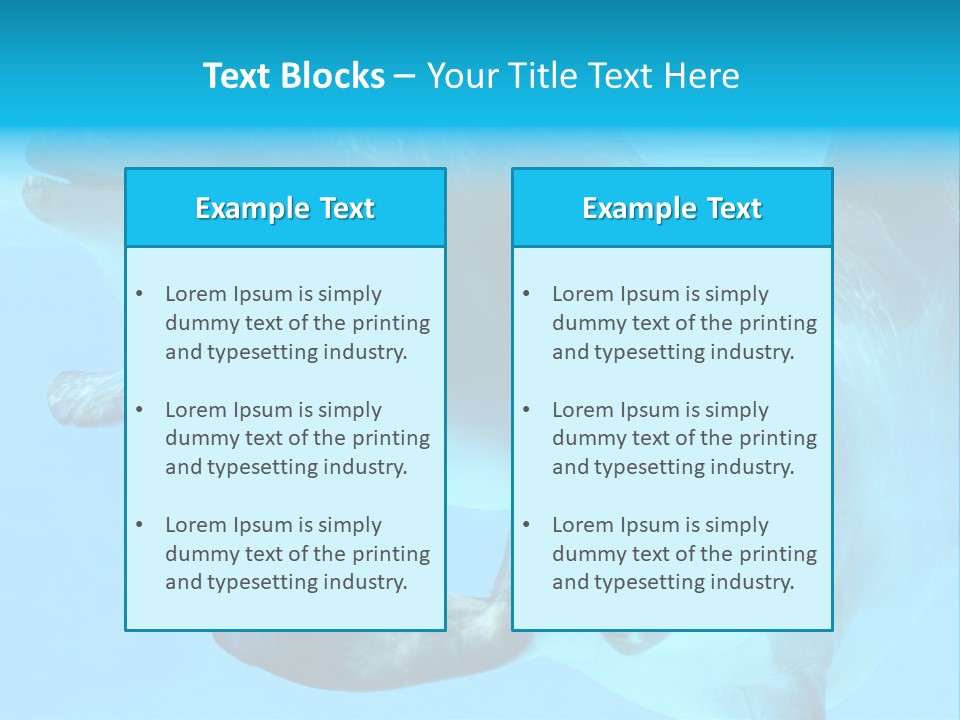 Togetherness Sealife Couple PowerPoint Template