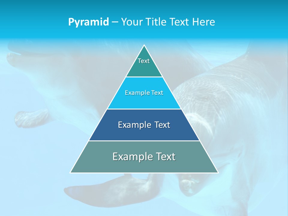 Togetherness Sealife Couple PowerPoint Template