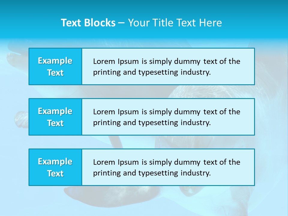 Togetherness Sealife Couple PowerPoint Template