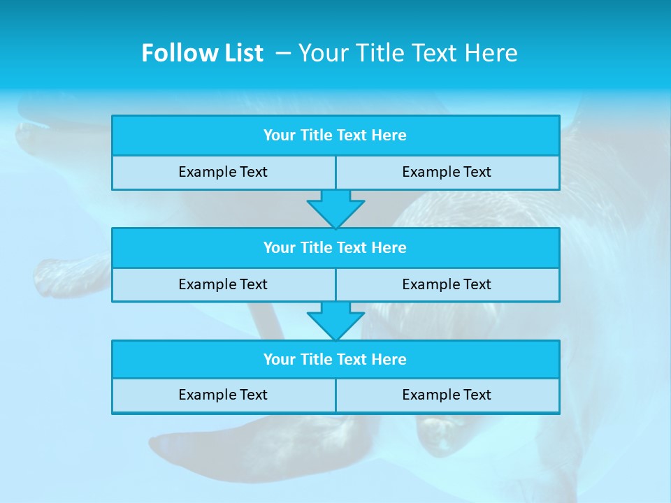 Togetherness Sealife Couple PowerPoint Template