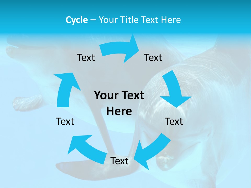 Togetherness Sealife Couple PowerPoint Template